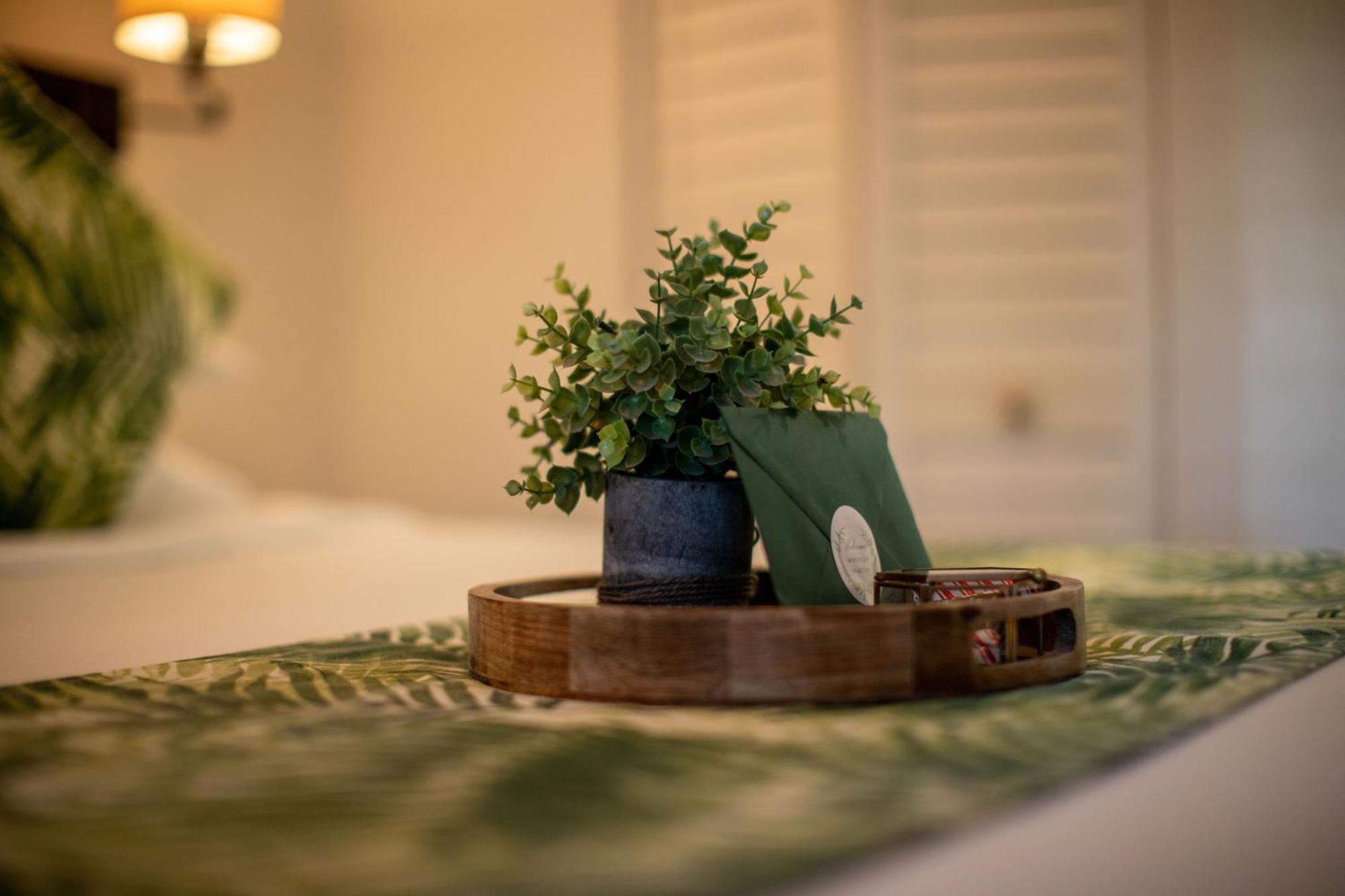 Andrews Inn & Garden Cottages Key West Dış mekan fotoğraf