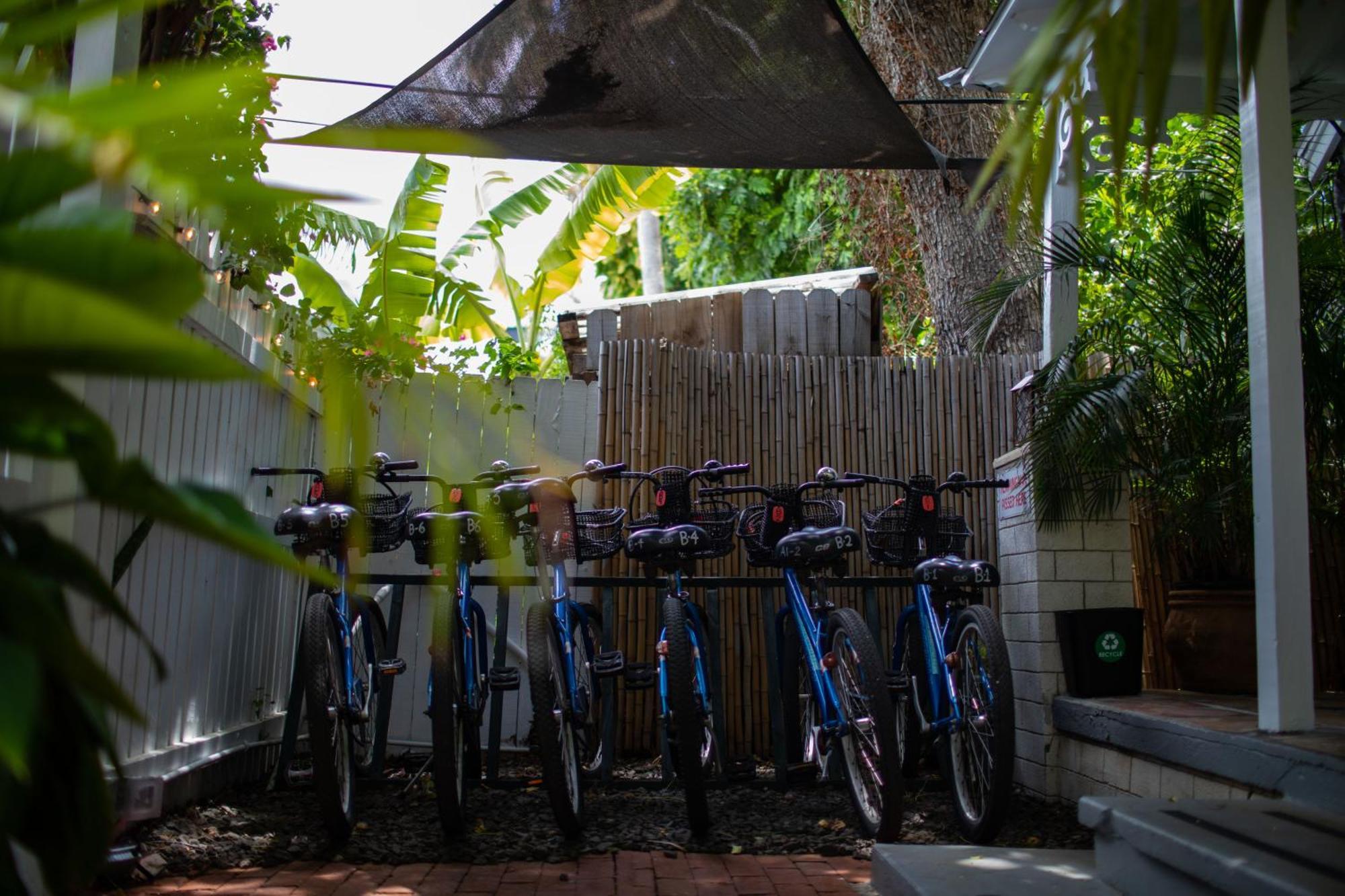 Andrews Inn & Garden Cottages Key West Dış mekan fotoğraf